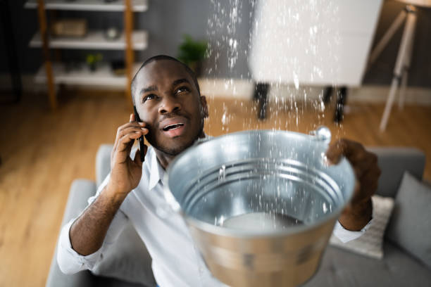 Best Flood restoration services  in St Marys, KS