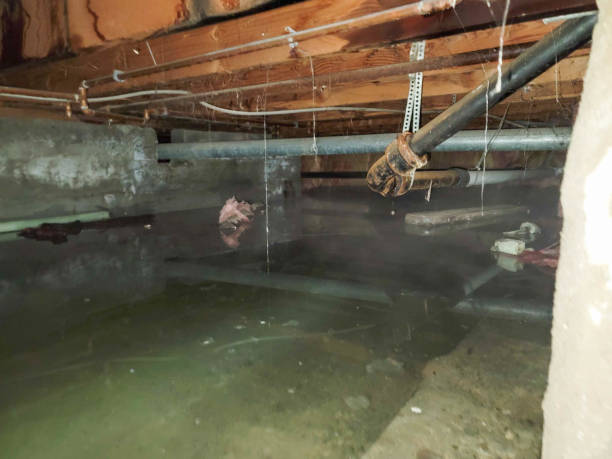 Best Water damage restoration near me  in St Marys, KS