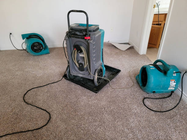 Best Ceiling water damage repair  in St Marys, KS