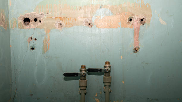 Best Water damage cleanup near me  in St Marys, KS
