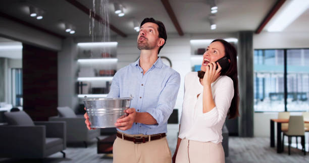 Best Water damage contractors near me  in St Marys, KS