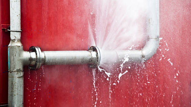 Best Basement water damage restoration  in St Marys, KS